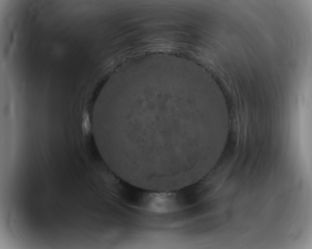 X0000090620089200707171443