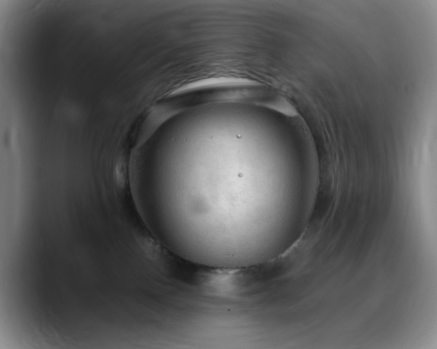 X0000090620090200707171443