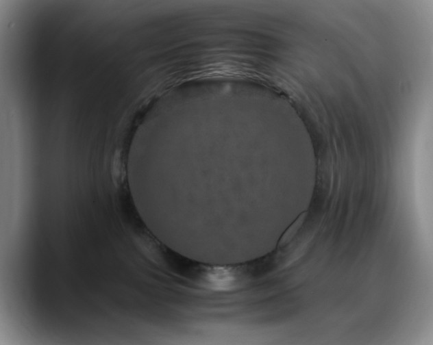 X0000090620091200707171443