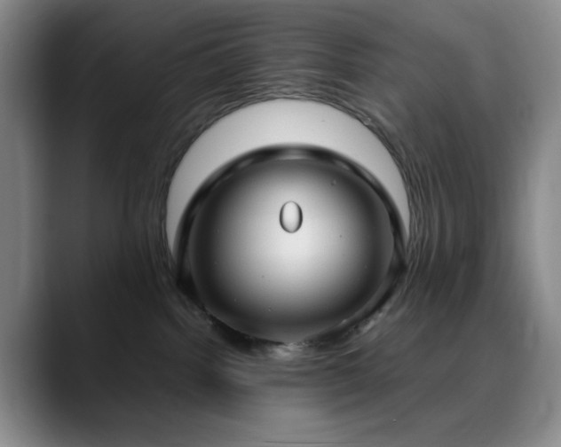 X0000090620092200707171443