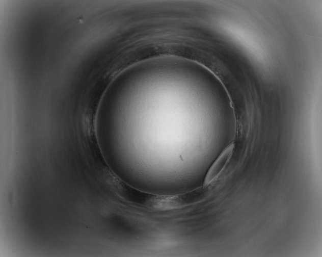 X0000090620093200707171443