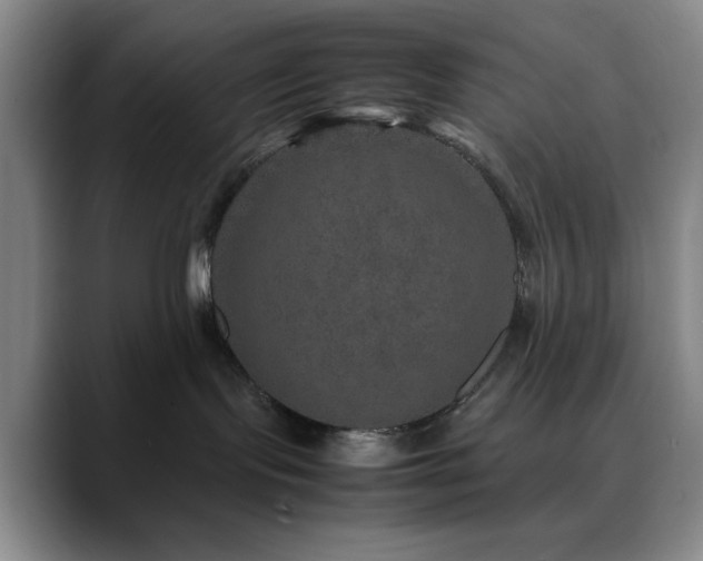 X0000090620095200707171443