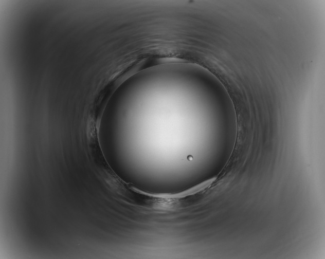X0000090620096200707171443
