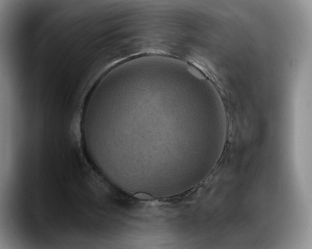 X0000090620098200707171442