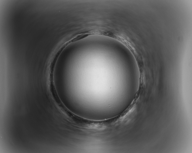 X0000090620101200707171442