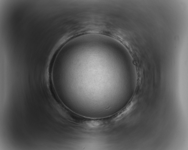 X0000090620102200707171442
