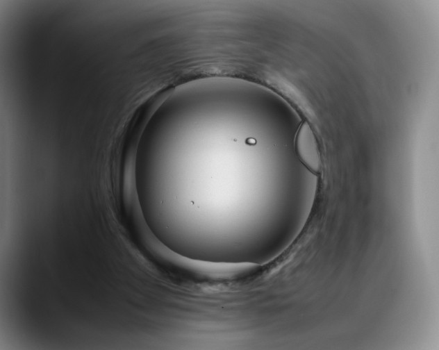 X0000090620105200707171442