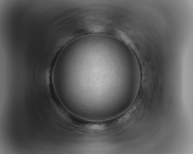 X0000090620106200707171442