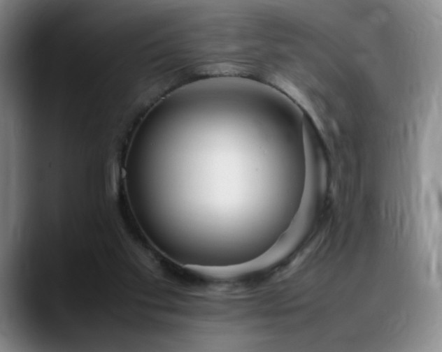 X0000090620109200707171442
