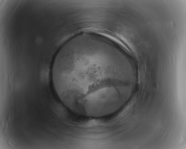 X0000090620111200707171442