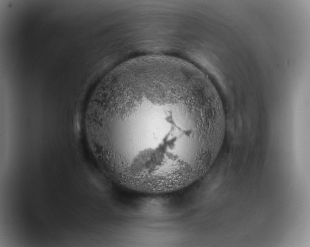 X0000090620115200707171442