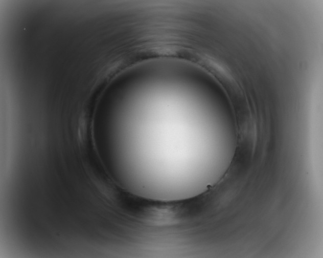 X0000090620120200707171442