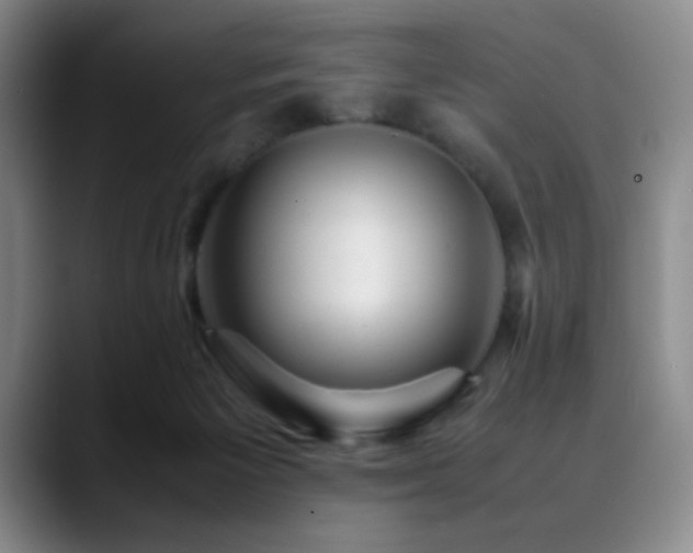 X0000090620125200707171442