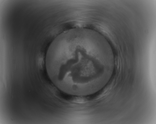 X0000090620127200707171442