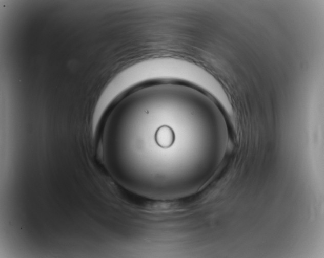 X0000090620129200707171442
