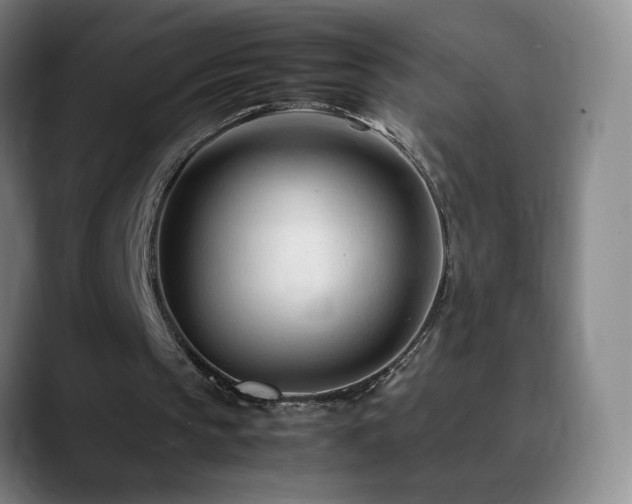 X0000090620145200707171441