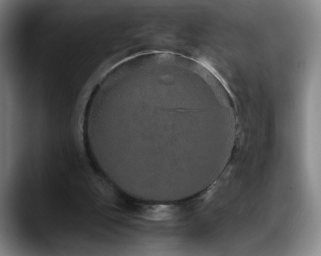 X0000090620151200707171441