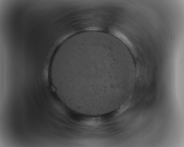 X0000090620155200707171441