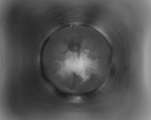 X0000090620159200707171441