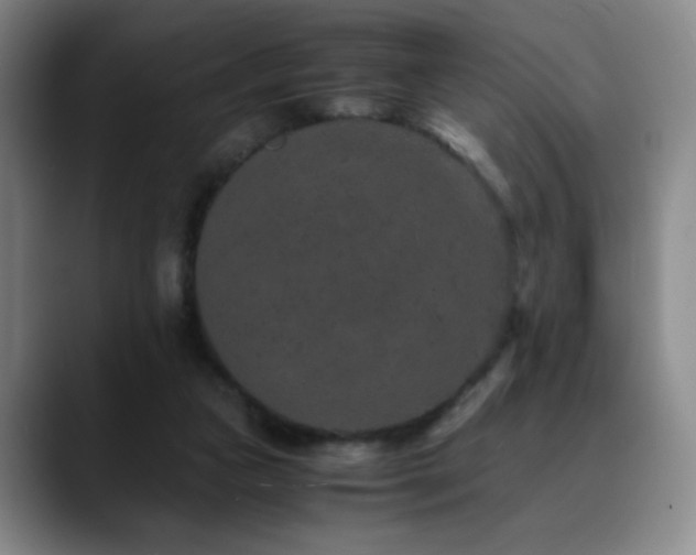 X0000090620161200707171441