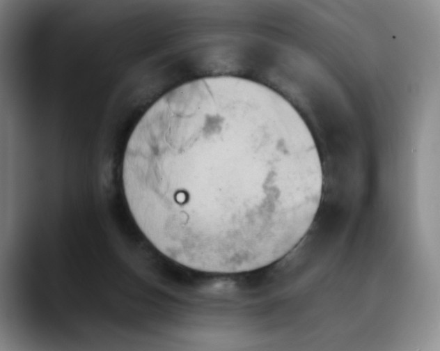 X0000090620162200707171441
