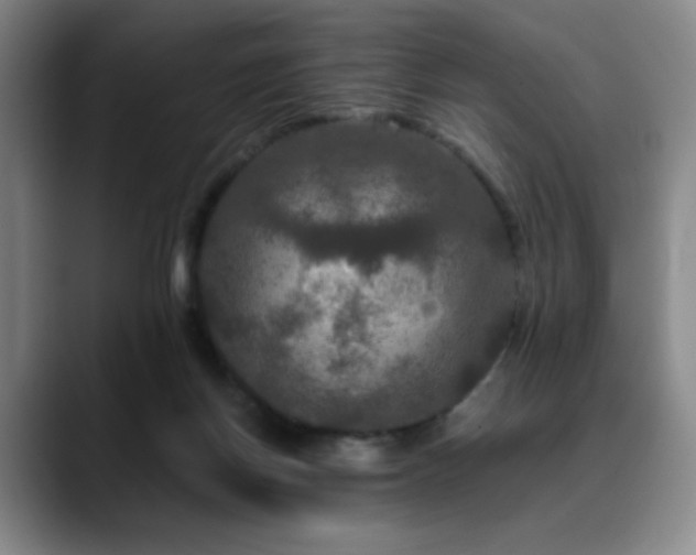 X0000090620166200707171441