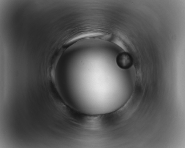 X0000090620170200707171442