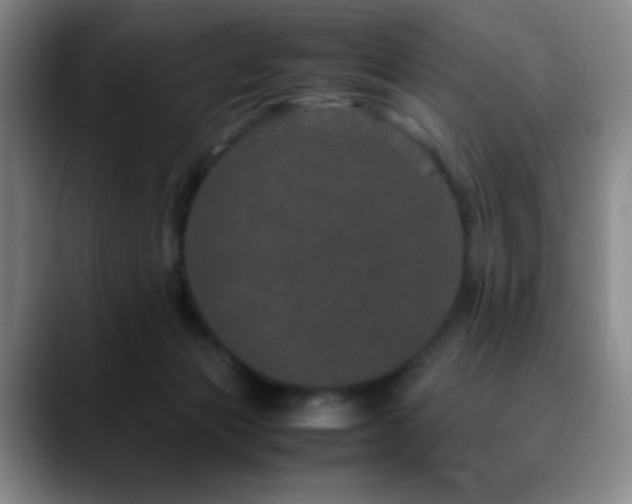 X0000090620173200707171442