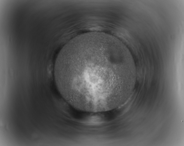 X0000090620175200707171442