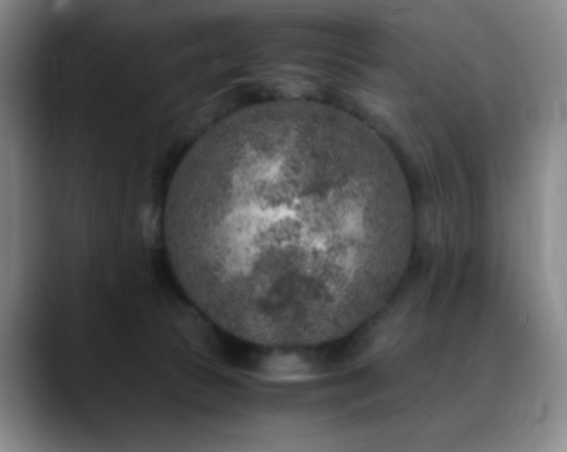 X0000090620177200707171442