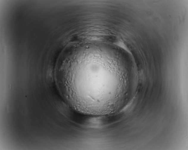 X0000090620178200707171442