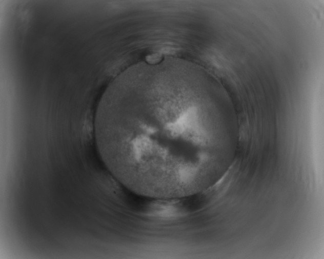 X0000090620179200707171442