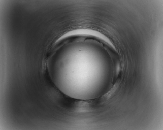 X0000090620180200707171442