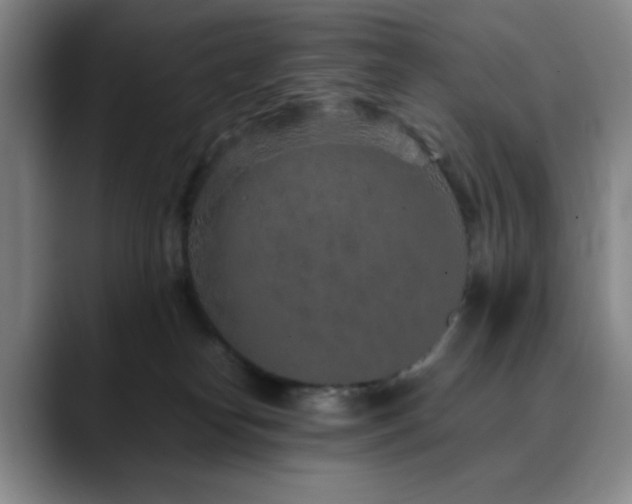 X0000090620182200707171442