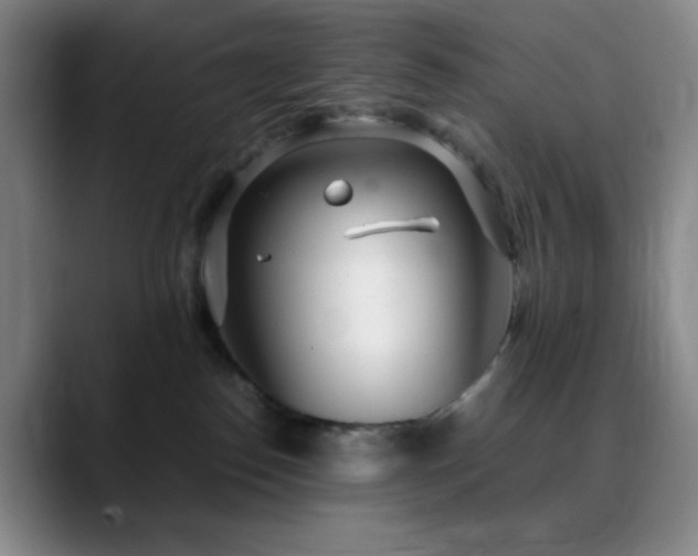 X0000090620186200707171442