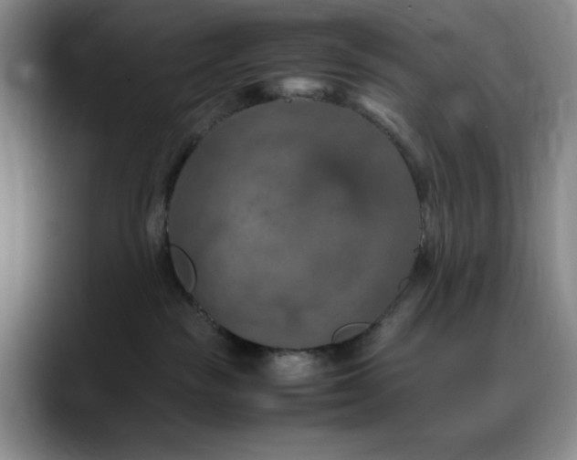 X0000090620189200707171442