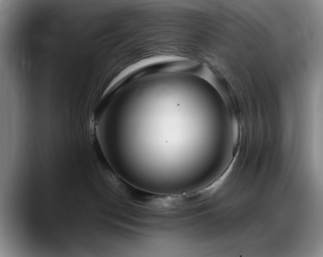 X0000090620190200707171442