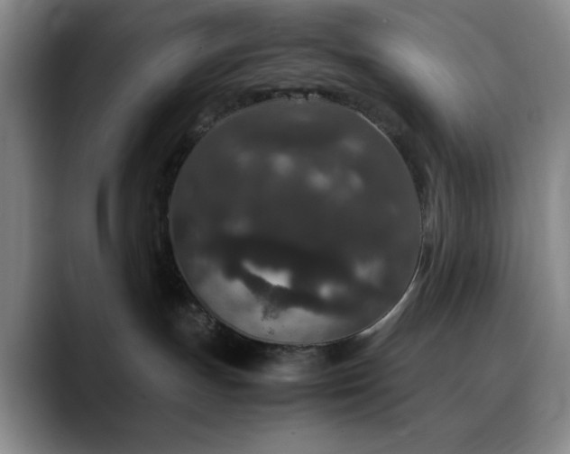 X0000090620191200707171442
