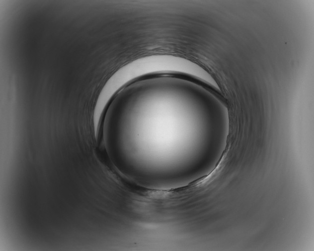 X0000090620192200707171442