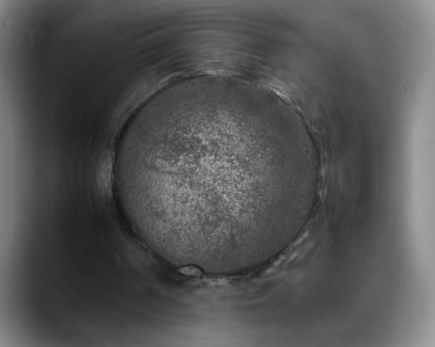 X0000090620194200707171441