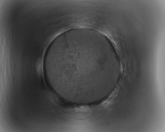 X0000090620196200707171441