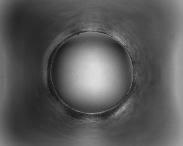 X0000090620199200707171441