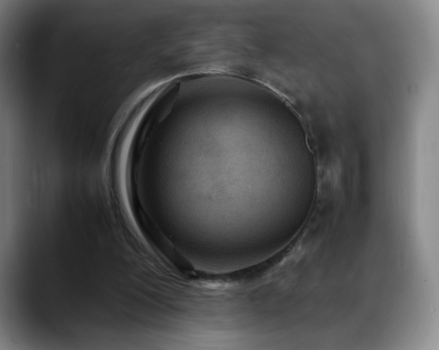 X0000090620200200707171441