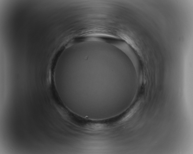 X0000090620205200707171441