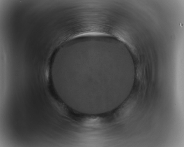 X0000090620206200707171441