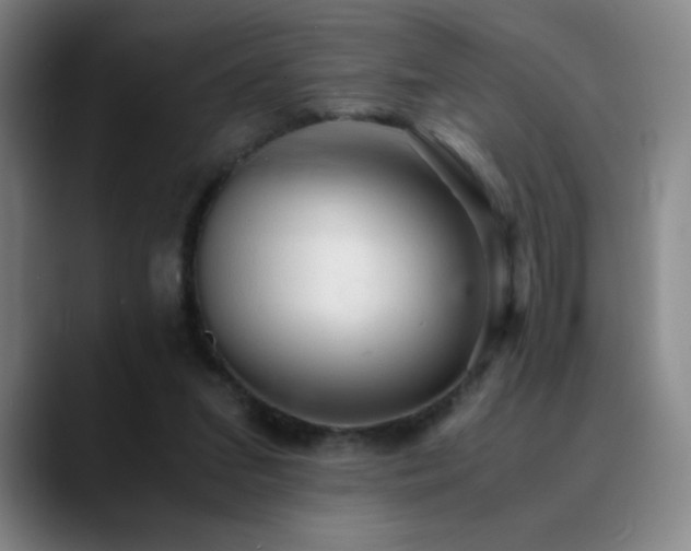X0000090620207200707171441