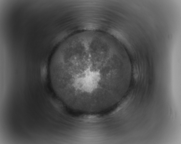 X0000090620208200707171441
