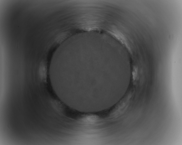 X0000090620210200707171441