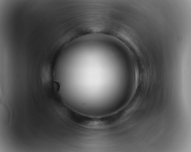X0000090620212200707171441