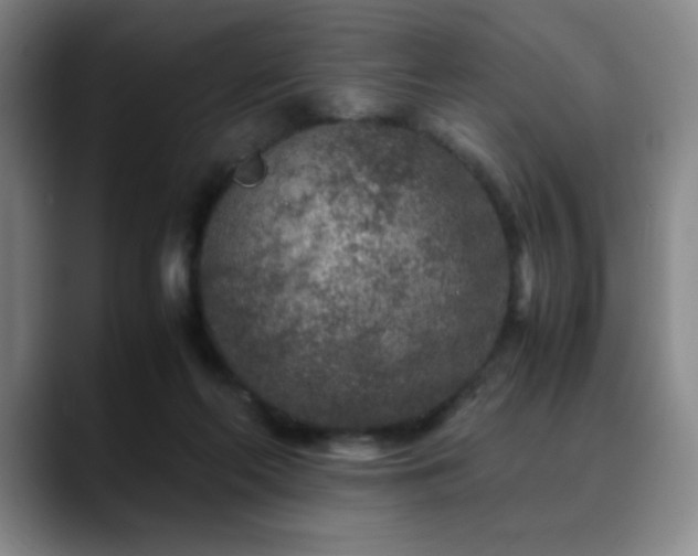 X0000090620214200707171441